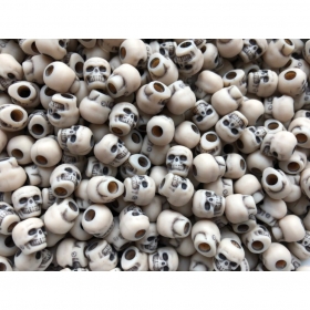 Czaszka pustynny �wit 5 sztuk