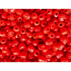 Czaszka b�yszcz�ca czerwie� 5 sztuk